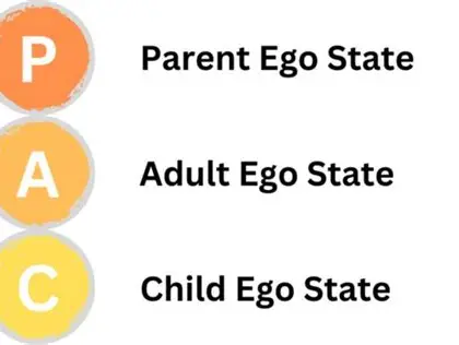 Featured image for “Transactional Analysis”